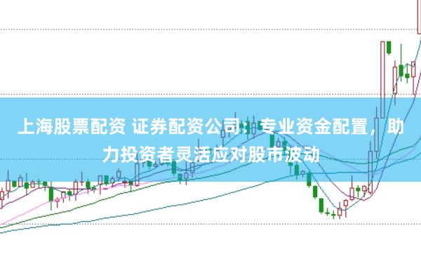 上海股票配资 证券配资公司：专业资金配置，助力投资者灵活应对股市波动
