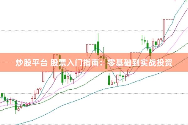 炒股平台 股票入门指南：零基础到实战投资