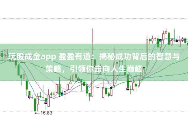 玩股成金app 盈盈有道：揭秘成功背后的智慧与策略，引领你走向人生巅峰