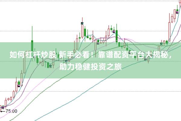 如何杠杆炒股 新手必看！靠谱配资平台大揭秘，助力稳健投资之旅