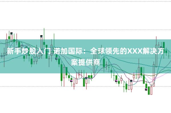 新手炒股入门 诺加国际：全球领先的XXX解决方案提供商