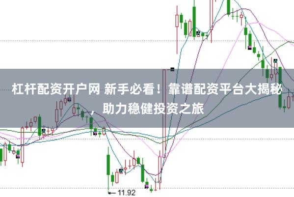 杠杆配资开户网 新手必看！靠谱配资平台大揭秘，助力稳健投资之旅