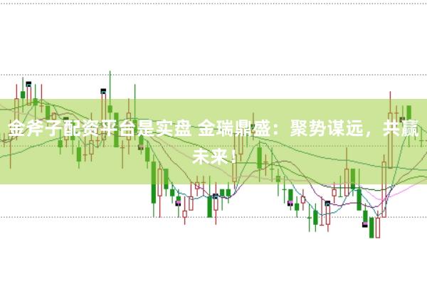 金斧子配资平台是实盘 金瑞鼎盛：聚势谋远，共赢未来！