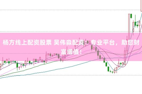 杨方线上配资股票 吴伟淼配资：专业平台，助您财富增值！