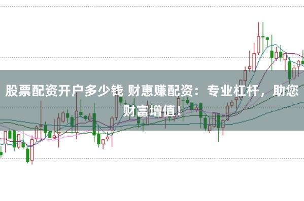 股票配资开户多少钱 财恵赚配资：专业杠杆，助您财富增值！