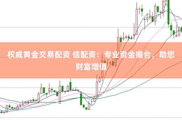 权威黄金交易配资 信配资：专业资金撮合，助您财富增值
