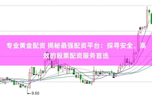 专业黄金配资 揭秘最强配资平台：探寻安全、高效的股票配资服务首选