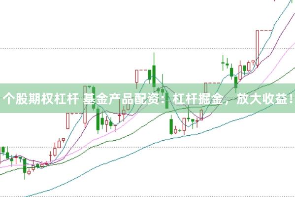 个股期权杠杆 基金产品配资：杠杆掘金，放大收益！