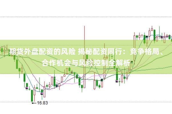 期货外盘配资的风险 揭秘配资同行：竞争格局、合作机会与风险控制全解析