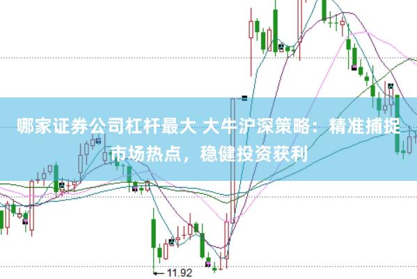 哪家证券公司杠杆最大 大牛沪深策略:精准捕捉市场热点,稳健投资获利