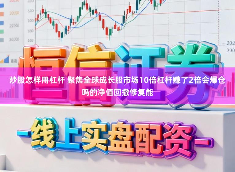 炒股怎样用杠杆 聚焦全球成长股市场10倍杠杆赚了2倍会爆仓吗的净值回撤修复能