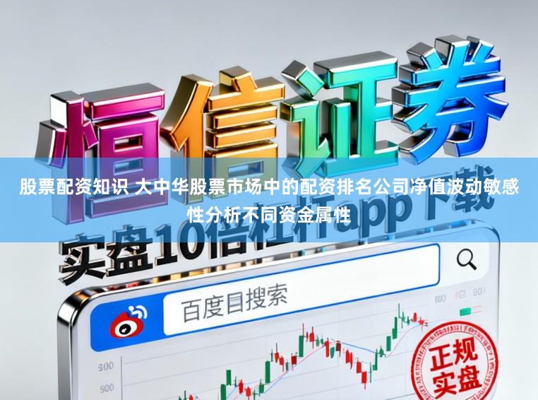 股票配资知识 大中华股票市场中的配资排名公司净值波动敏感性分析不同资金属性